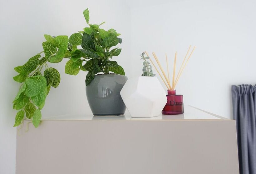 酒店 Tasman Hill Lodge   Adult Only