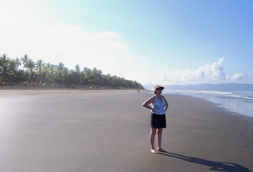 Отель Coloso Del Mar