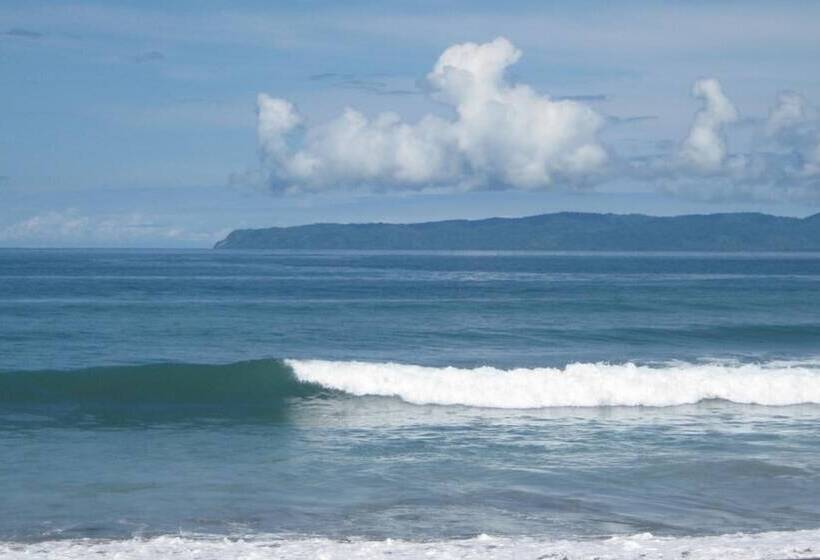 Отель Coloso Del Mar