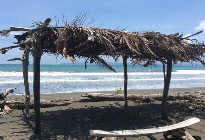 Отель Coloso Del Mar