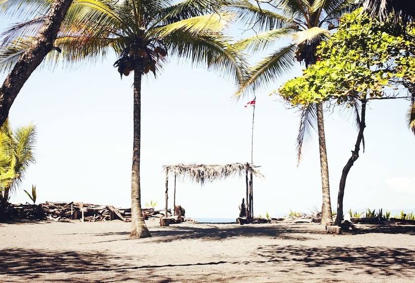 Отель Coloso Del Mar