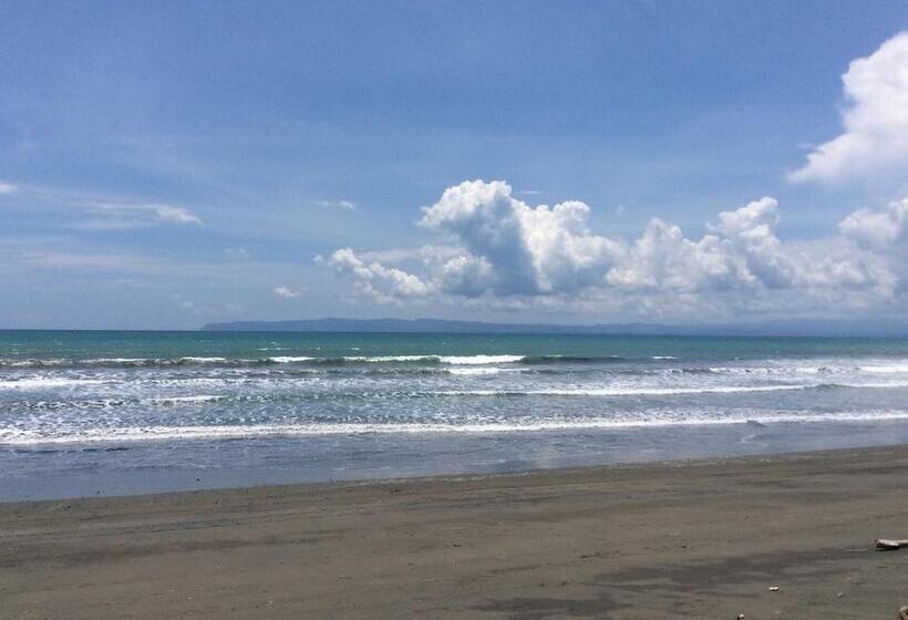 Отель Coloso Del Mar