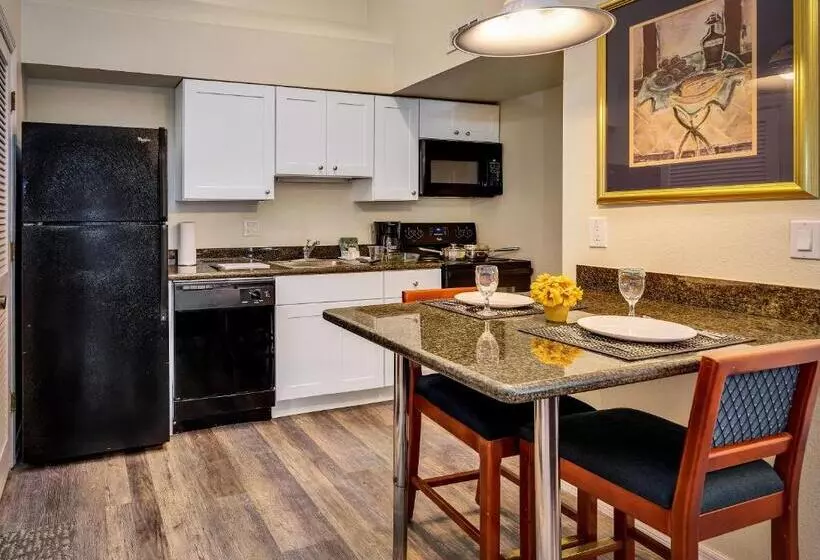 Chase Suite Hotel Rocky Point Tampa