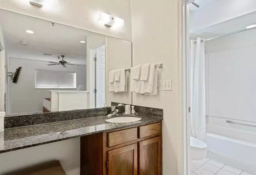 Chase Suite Hotel Rocky Point Tampa