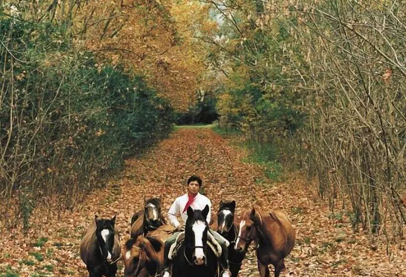 酒店 Estancia La Candelaria