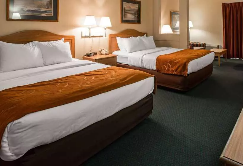 酒店 Super 8 By Wyndham Cherokee