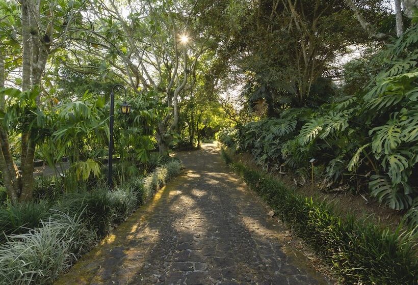 Hôtel Finca Rosa Blanca Coffee Farm And Inn