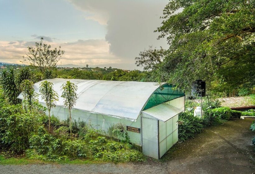 Hôtel Finca Rosa Blanca Coffee Farm And Inn