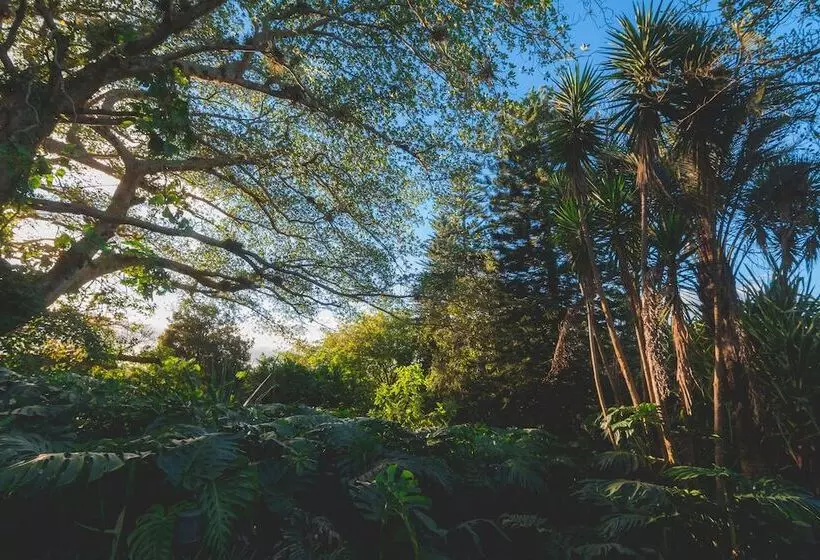 هتل Finca Rosa Blanca Coffee Farm And Inn