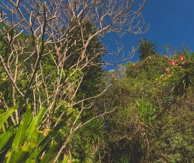 هتل Finca Rosa Blanca Coffee Farm And Inn