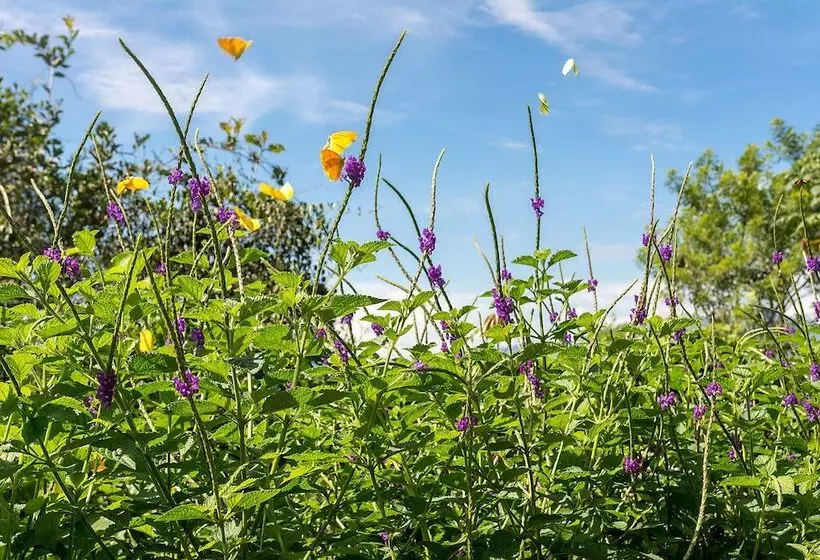 هتل Finca Rosa Blanca Coffee Farm And Inn