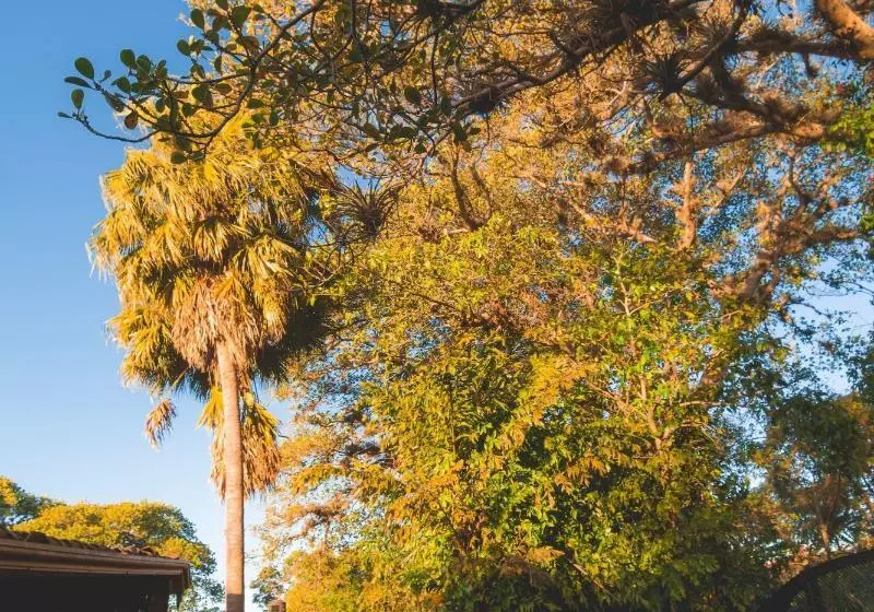 هتل Finca Rosa Blanca Coffee Farm And Inn