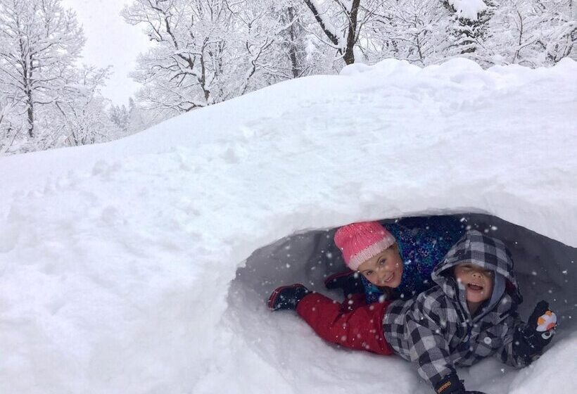 فندق Guest House Bunk