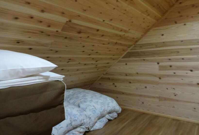 فندق Guest House Bunk