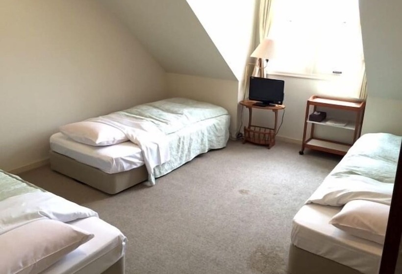 فندق Guest House Bunk