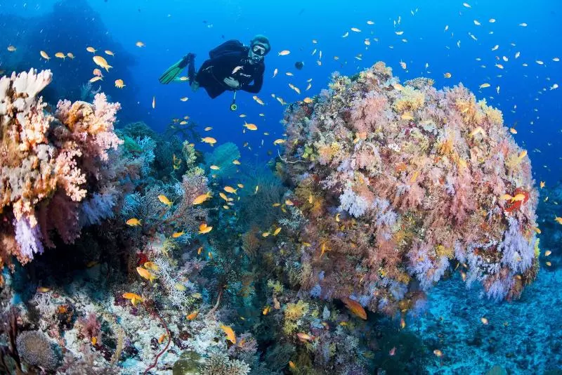 هتل Tauchbasis - Diving Center Werner Lau Bathala