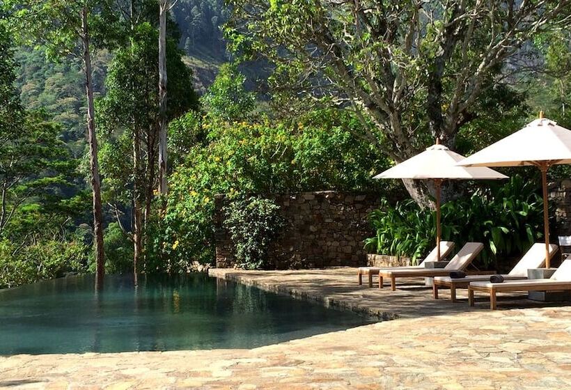 فندق The Planters House