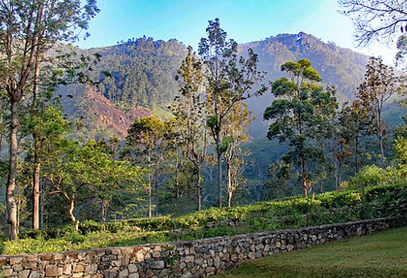 فندق The Planters House