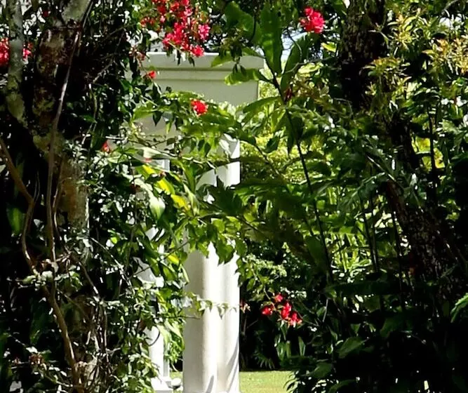 ホテル The Planters House
