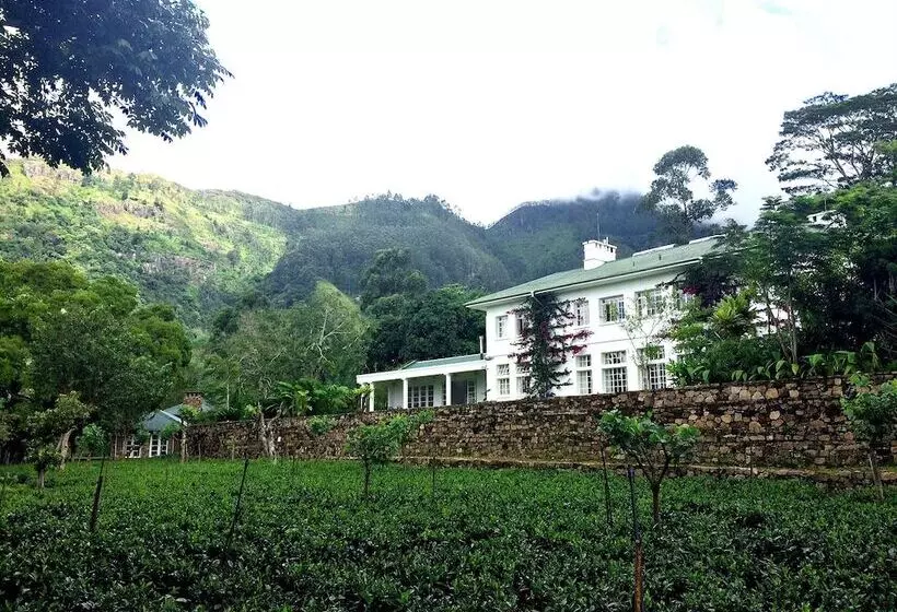 ホテル The Planters House