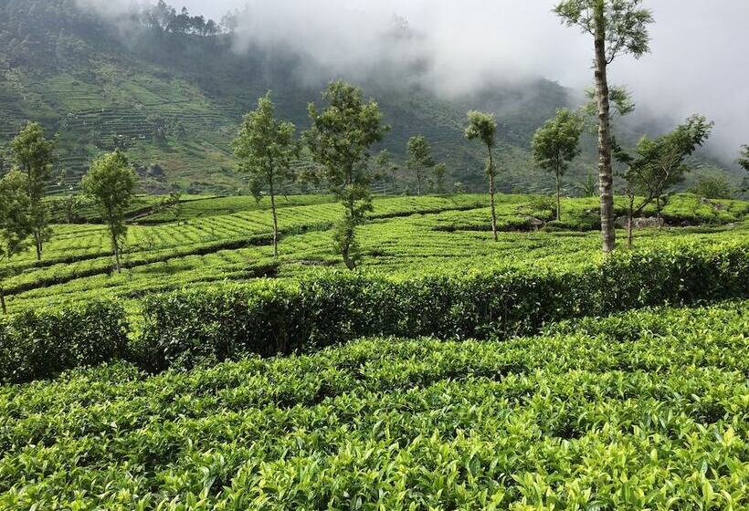 فندق The Planters House