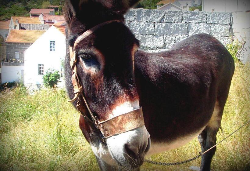 Отель Casas Do Cruzeiro