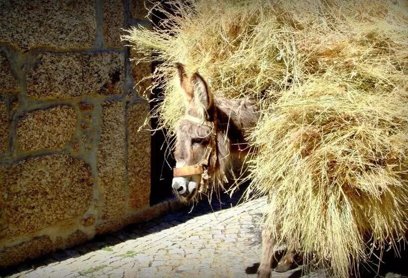 هتل Casas Do Cruzeiro