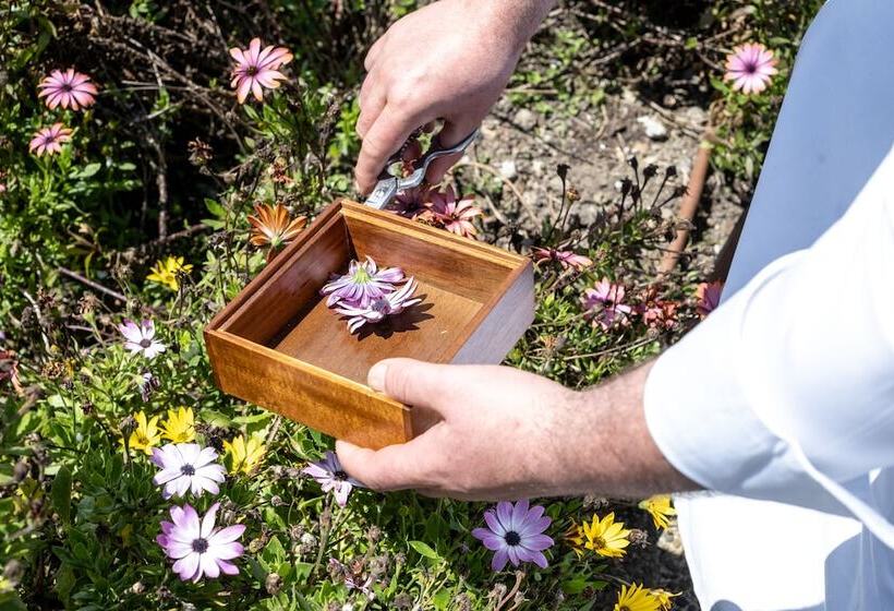 בית מלון כפרי Coolrooms Palacio De Luces