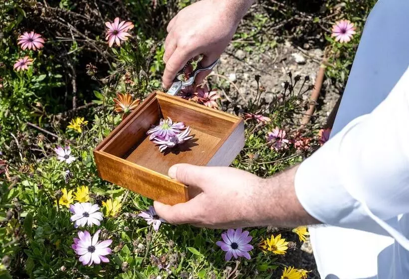 Отель Coolrooms Palacio De Luces