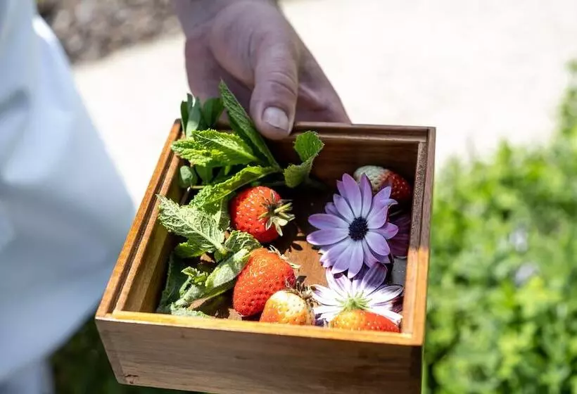 Отель Coolrooms Palacio De Luces