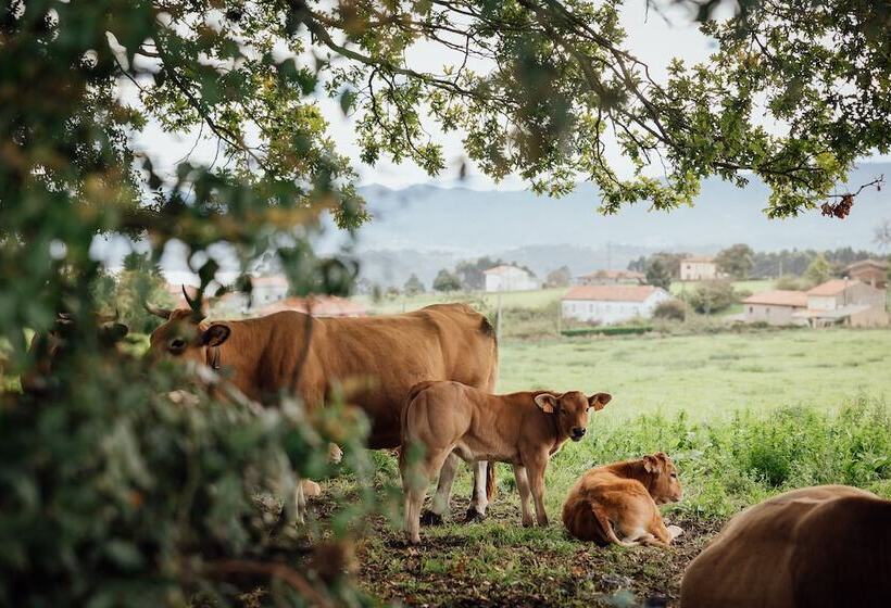 בית מלון כפרי Coolrooms Palacio De Luces