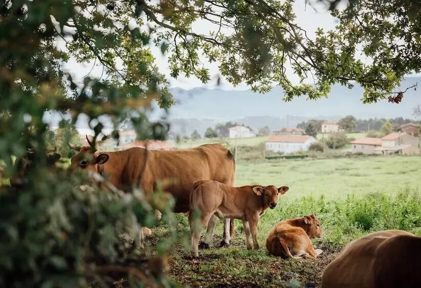 Отель Coolrooms Palacio De Luces