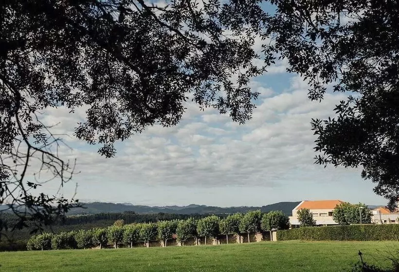 Отель Coolrooms Palacio De Luces