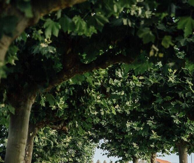 בית מלון כפרי Coolrooms Palacio De Luces