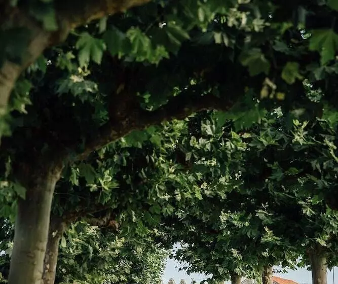 Отель Coolrooms Palacio De Luces