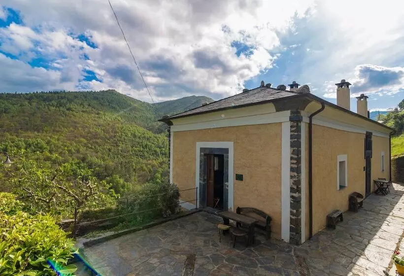 Hotel El Bosque De Las Viñas