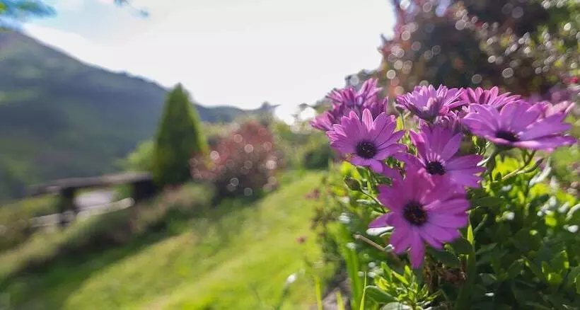 Hotel El Bosque De Las Viñas