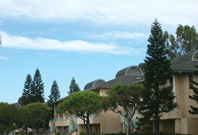 فندق Paniolo Greens Resort