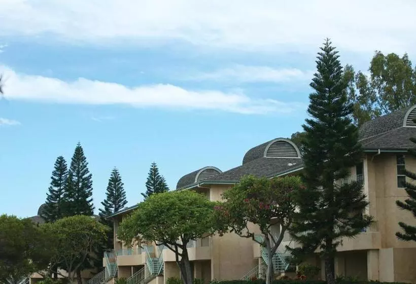 Отель Paniolo Greens Resort