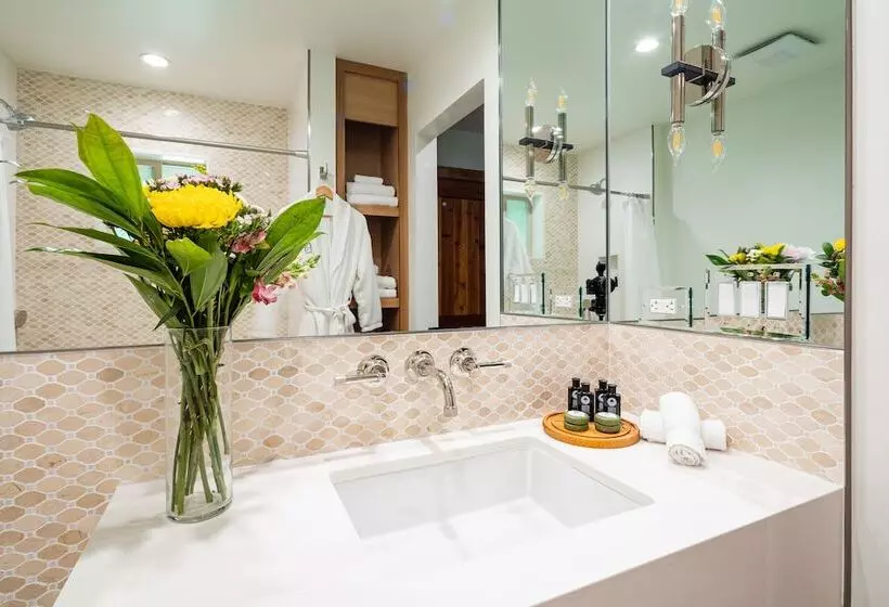 Отель Rainbow Ranch Lodge