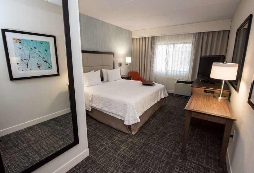 فندق Hampton Inn Albany Western Ave/university Area