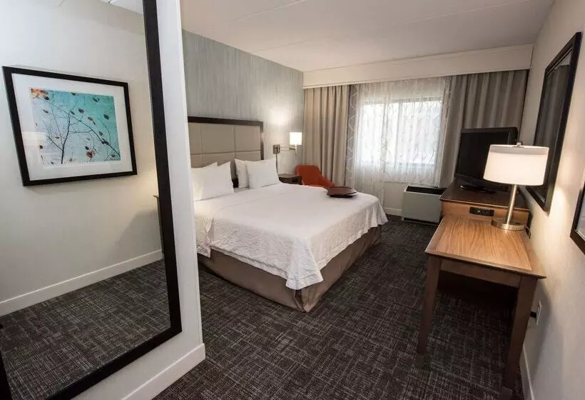 Hotel Hampton Inn Albany Western Ave/university Area