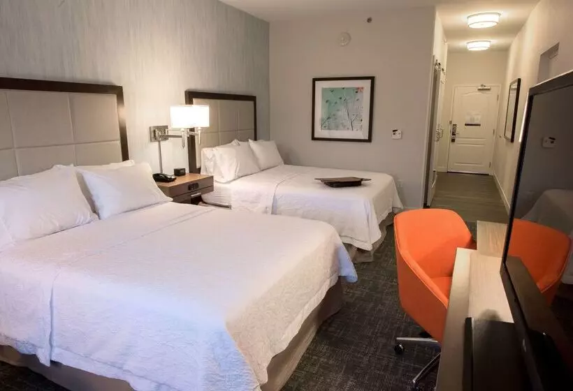 Hotel Hampton Inn Albany Western Ave/university Area