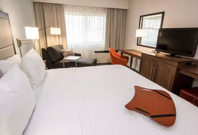 Hotel Hampton Inn Albany Western Ave/university Area