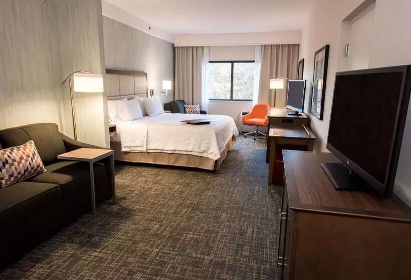 Hotel Hampton Inn Albany Western Ave/university Area