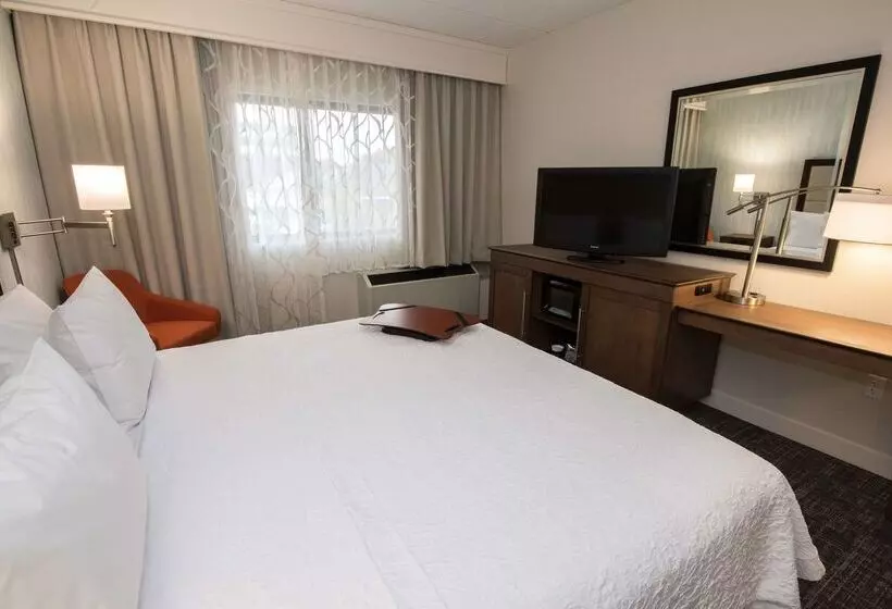 Hotel Hampton Inn Albany Western Ave/university Area