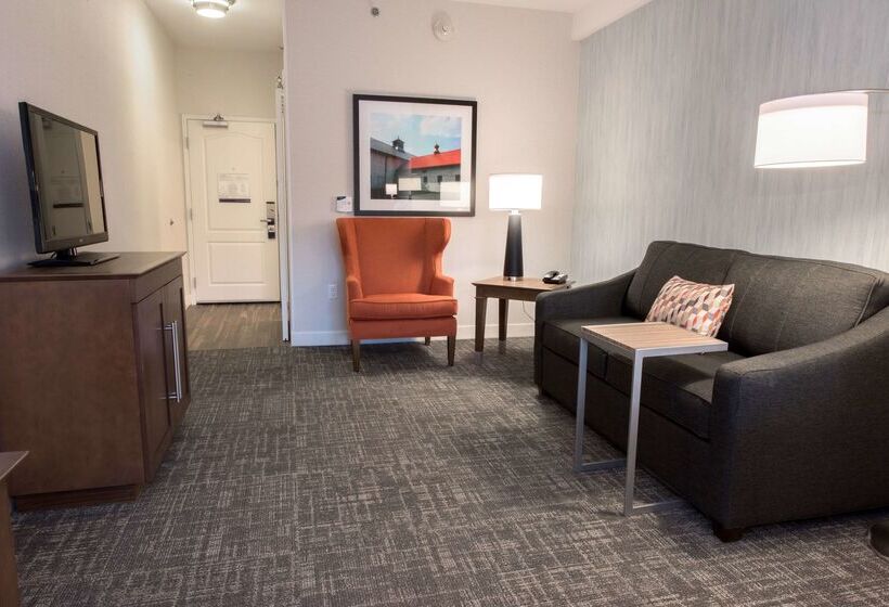 فندق Hampton Inn Albany Western Ave/university Area