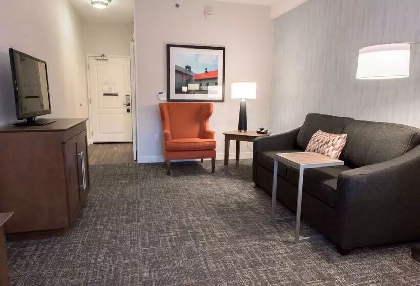 Hotel Hampton Inn Albany Western Ave/university Area