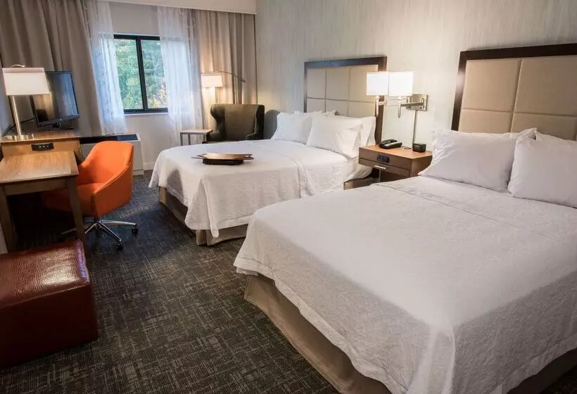 Hotel Hampton Inn Albany Western Ave/university Area