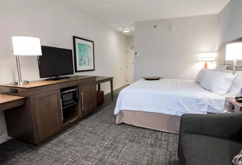 Hotel Hampton Inn Albany Western Ave/university Area